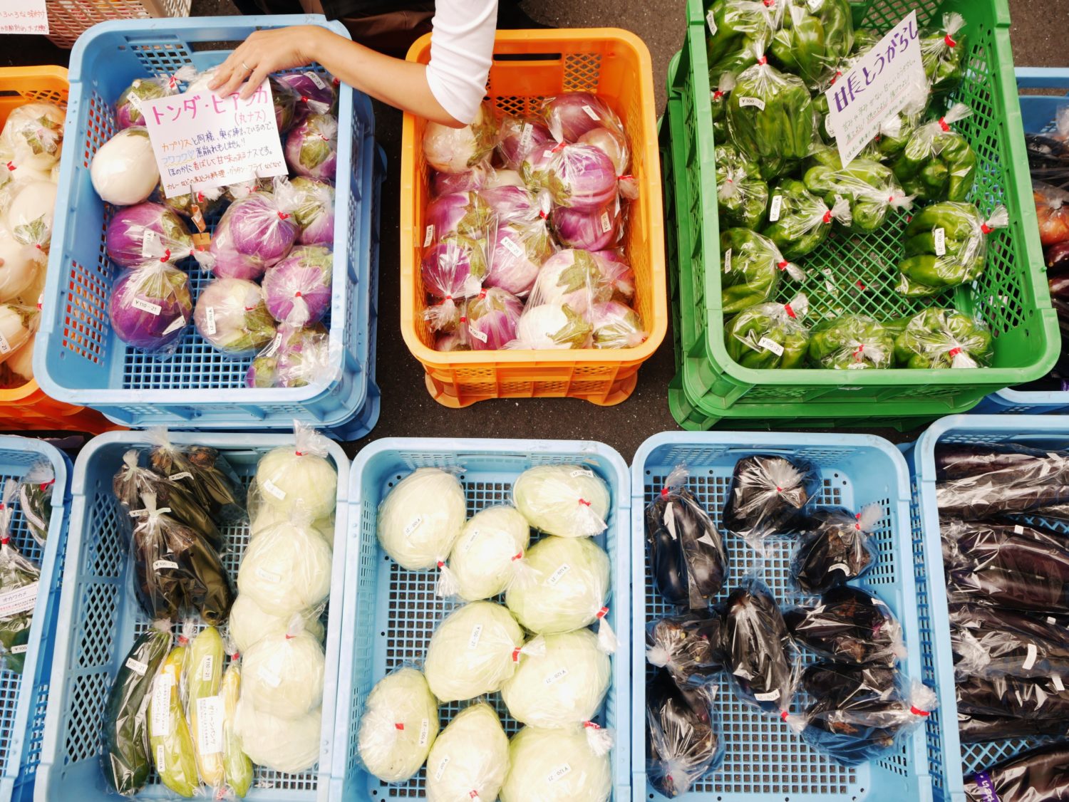 朝市,新鮮,野菜,軽トラ市,珍しい