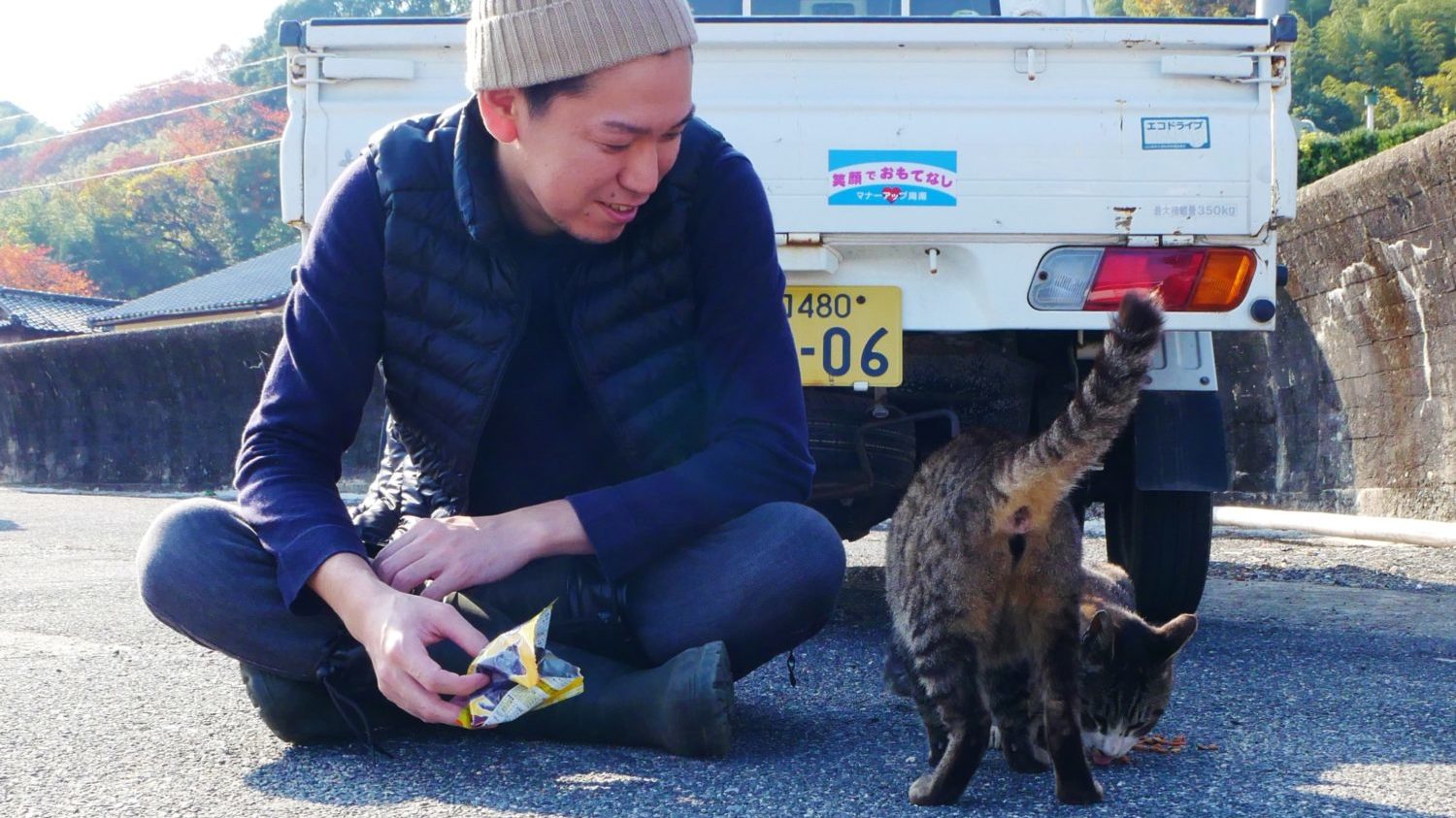 猫,ネコ,大津島,周南,徳山