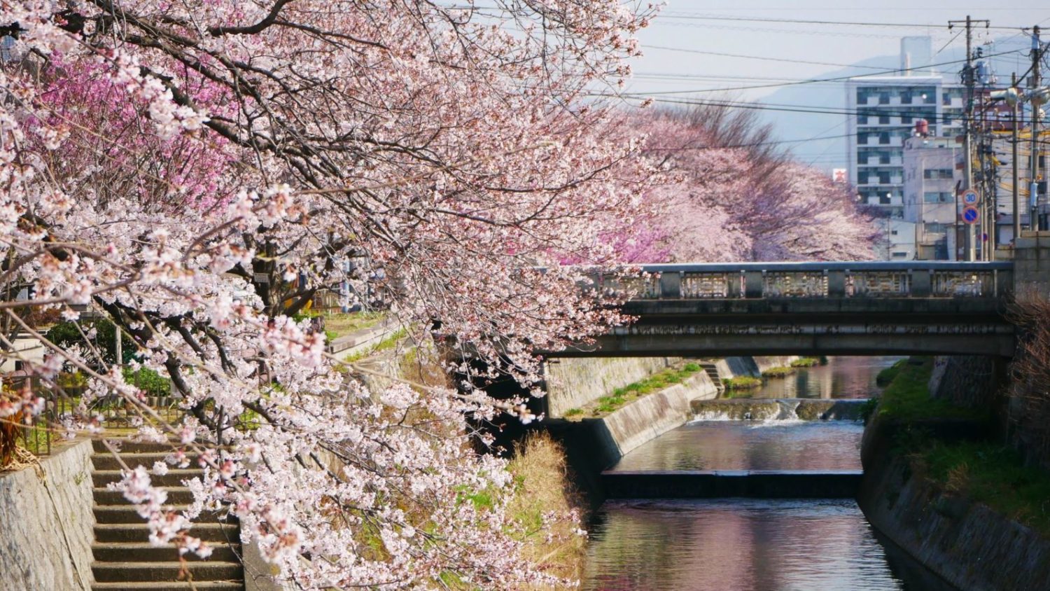 東川