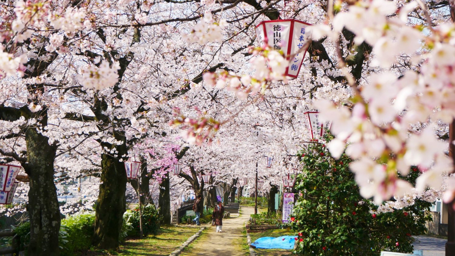 東川