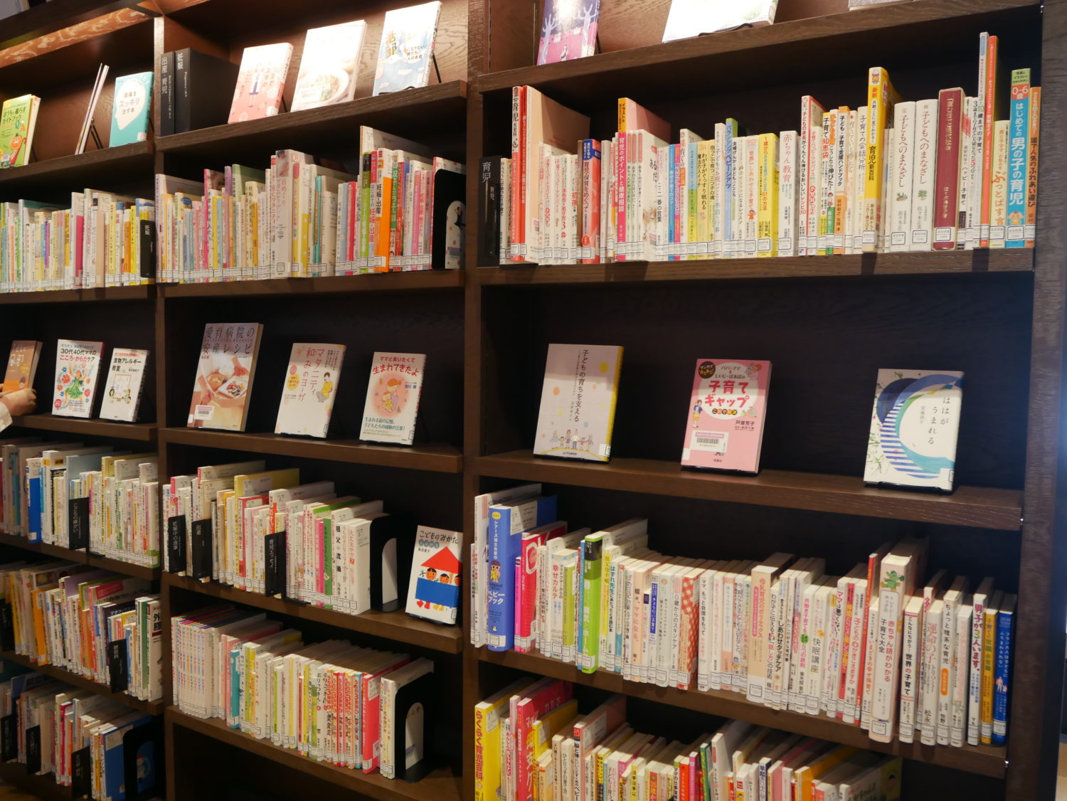 図書館　本