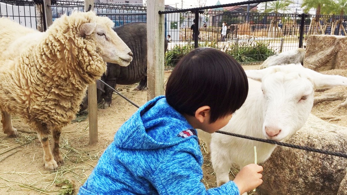 徳山動物園