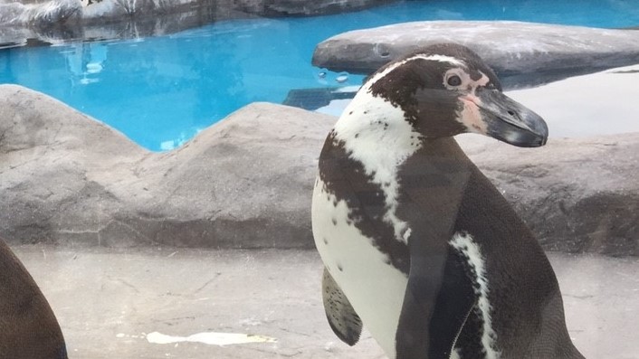 徳山動物園