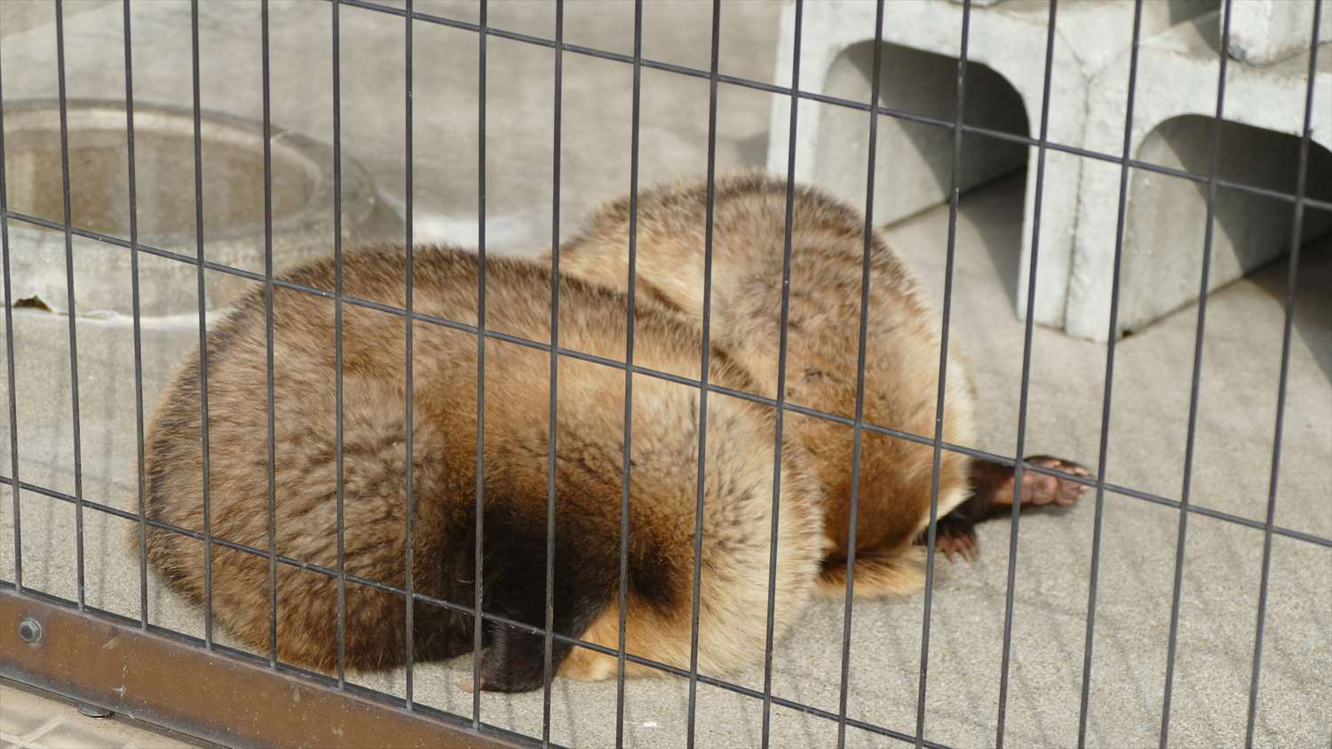 徳山動物園