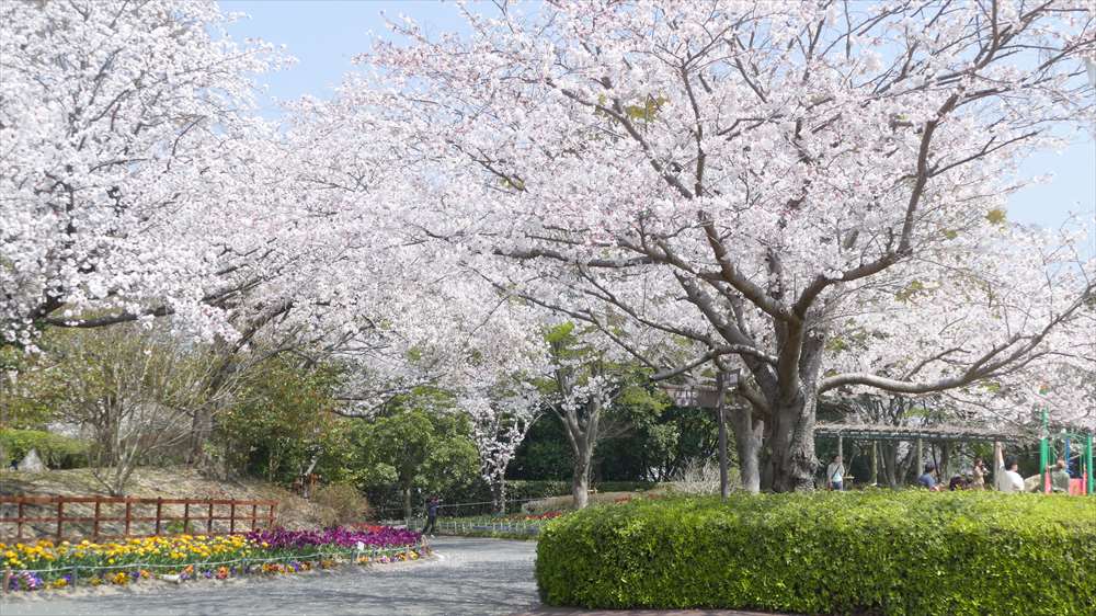 永源山公園