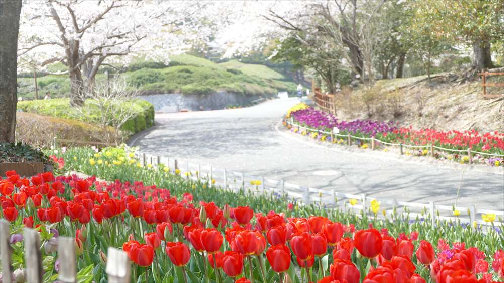 永源山公園