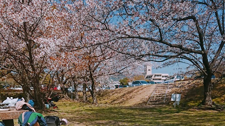 しゅうなん緑地公園